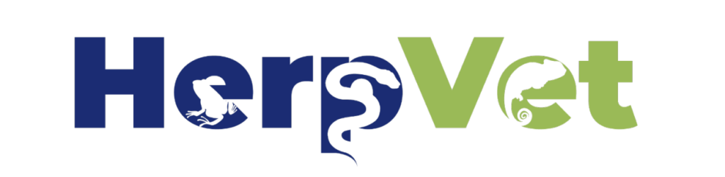HerpVet Logo. The word herp is in blue block letters with a frog cutout of the "E" and a snake cut out of the "P." The word vet is in green block letters with a lizard cut out of the "E."